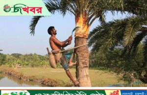 শীতের আগমনী বার্তা মোরেলগঞ্জে খেজুরের রস সংগ্রহে ব্যস্ত গাছিরা