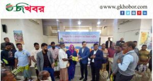 কৃষি জমি রক্ষা করতে কেমিক্যাল সারের নির্ভরতা কমাতে হবে: ইউএনও ফয়সাল আহমেদ