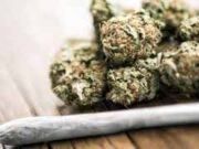 ফকিরহাটে র্যাবের অভিযানে ১৩ কেজি গাঁজাসহ যুবক গ্রেপ্তার