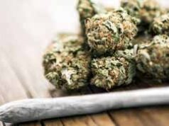 ফকিরহাটে র্যাবের অভিযানে ১৩ কেজি গাঁজাসহ যুবক গ্রেপ্তার