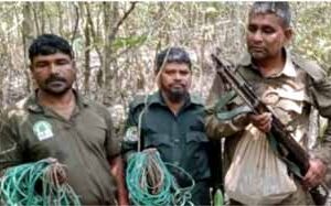 সুন্দরবনে অভিযান, হরিণ শিকারের ৪১টি ফাঁদ জব্দ