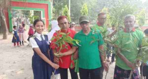 পঞ্চগড়ে ৬ শতাধিক শিক্ষার্থী পেল বিভিন্ন প্রজাতির ফলজ গাছের চারা