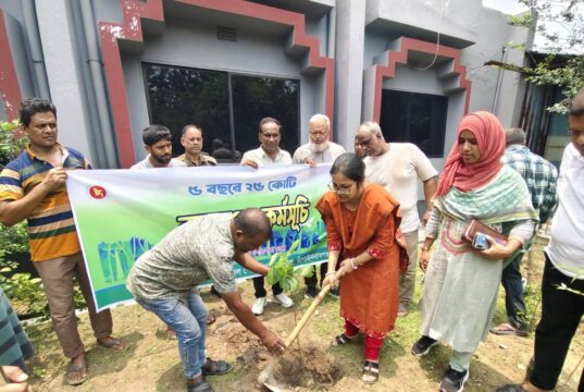 প্রধানমন্ত্রী ঘোষিত পাঁচ বছরে ২৫ কোটি বৃক্ষরোপণ কর্মসূচির অংশ হিসেবে নাচোল উপজেলা এবং পৌর প্রশাসন আয়োজিত বৃক্ষরোপন কর্মসূচি পালন।