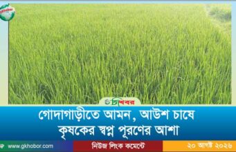 গোদাগাড়ীতে আমন, আউশ ধান চাষে কৃষকের স্বপ্ন পূরণের আশা