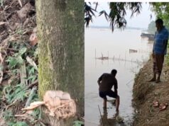 গোদাগাড়ীতে গোরস্থান কমিটির বিরুদ্ধে জোর করে জমি দখল ও ভাঙচুরের অভিযোগ