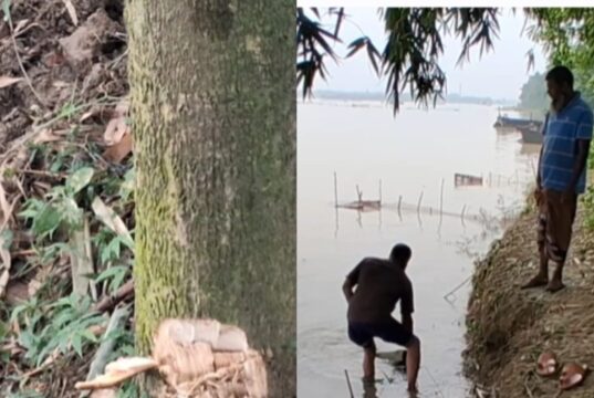 গোদাগাড়ীতে গোরস্থান কমিটির বিরুদ্ধে জোর করে জমি দখল ও ভাঙচুরের অভিযোগ