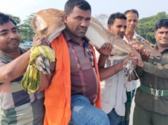 লোকালয়ে ঢুকে পড়া হরিণ উদ্ধার, পরে বনে অবমুক্ত