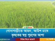 গোদাগাড়ীতে আমন, আউশ ধান চাষে কৃষকের স্বপ্ন পূরণের আশা